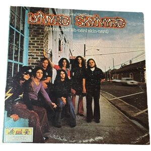 Lynyrd Skynyrd Vinyl Record vintage